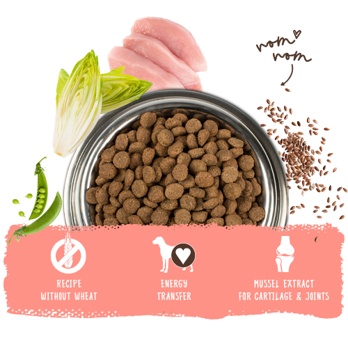 Dog food bowl with kibble, surrounded by ingredients Bosch HPC Active