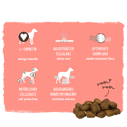 Dog food product with nutritional benefits on a pink background