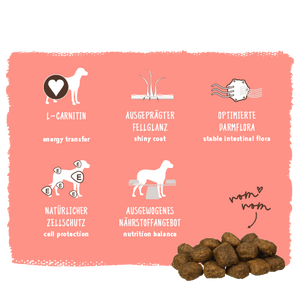 Dog food product with nutritional benefits on a pink background