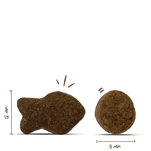 Bosch HPC Adult fish and Potatoes