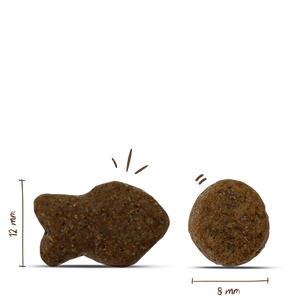 Bosch HPC Adult fish and Potatoes