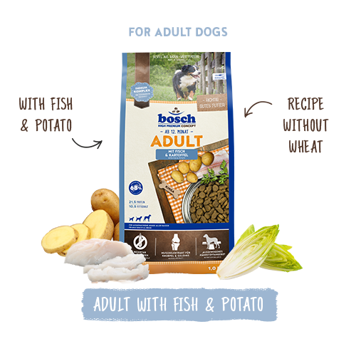 Bosch dog food package for adult dogs with fish and potato, on a white background.