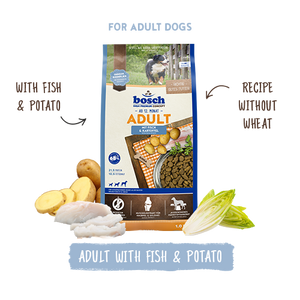 Bosch dog food package for adult dogs with fish and potato, on a white background.