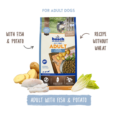 Bosch dog food package for adult dogs with fish and potato, on a white background.