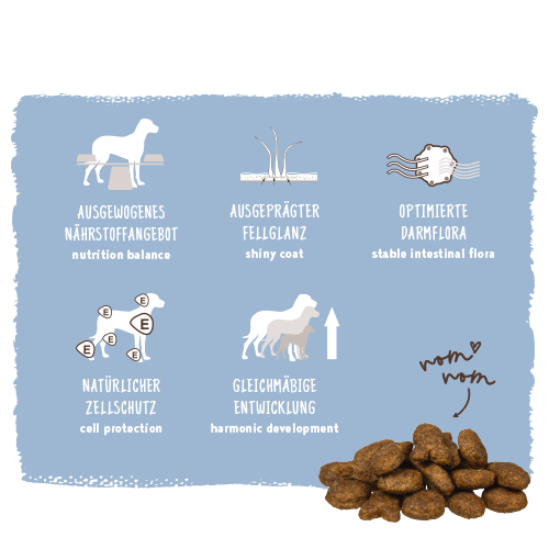 Dog food packaging with text and icons on a blue background