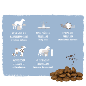 Dog food packaging with text and icons on a blue background