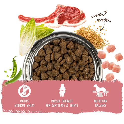 Bosch HPC Adult Lamm & Rice