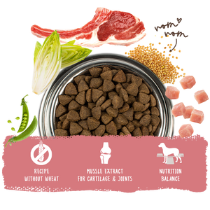 Bosch HPC Adult Lamm & Rice