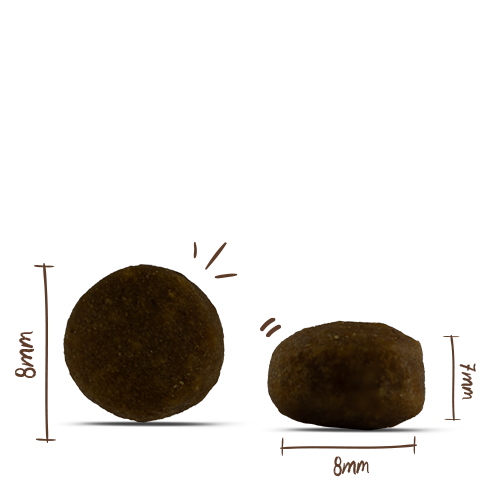 Bosch Menue Mini Adult with Animal Welfare chicken grain-free