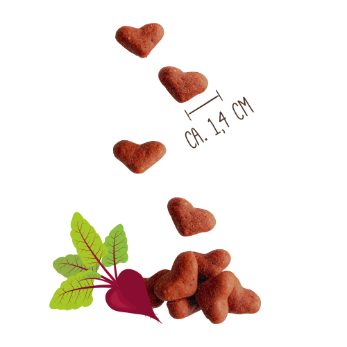 Heart-shaped dog treats with a beetroot and measurement label on a white background