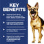 Dog with key benefits text on a blue background