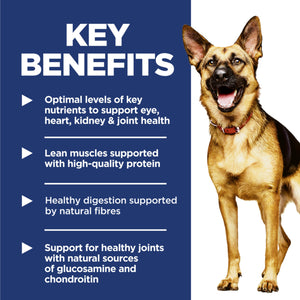 Dog with key benefits text on a blue background