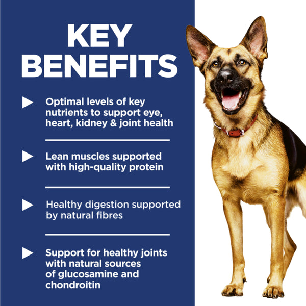 Dog with key benefits text on a blue background