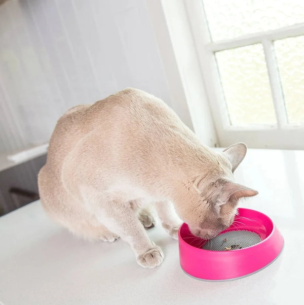 LickiMat OH Bowl for Cats - Green