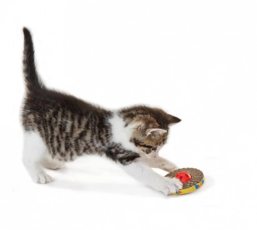 A small tabby-and-white kitten playing with a round textured toy that has a red top and a yellow base, photographed on a clean white background.