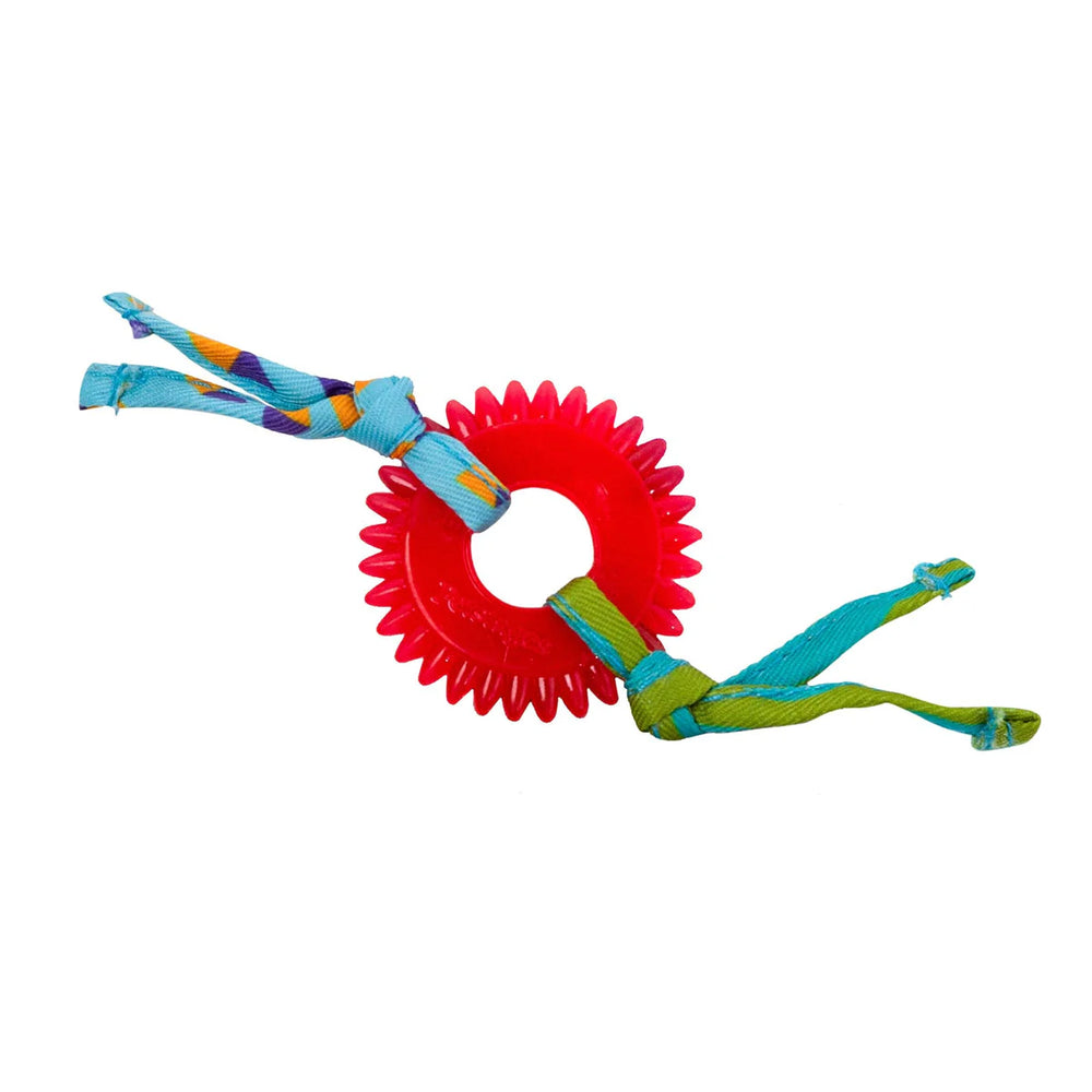 Dental Kitty Chew Wheel – Catnip Cat Toy
