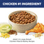 Dog food bowl with Hills pet food, chicken leg, corn, and seeds on a white background