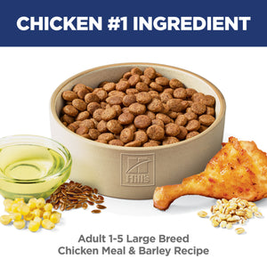 Dog food bowl with Hills pet food, chicken leg, corn, and seeds on a white background