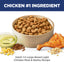 Bowl of Hills pet food with chicken leg, corn, and seeds on a white background