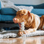 Clean Earth Recycled Dog Bone | Eco-Friendly Dog Chew Toy