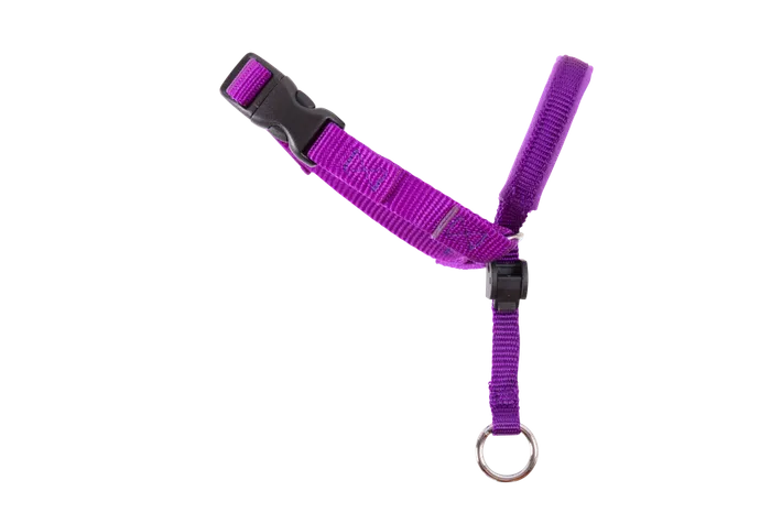 Purple dog harness on a white background
