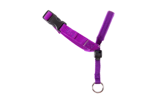 Purple dog harness on a white background