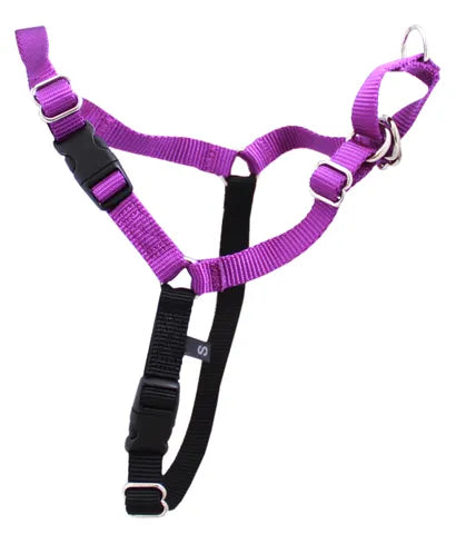 Beau Gentle Leader Harness Purple