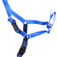 Beau Gentle Leader Harness blue