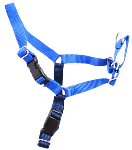 Beau Gentle Leader Harness blue