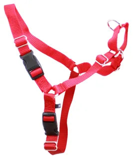 Beau Gentle Leader Harness red