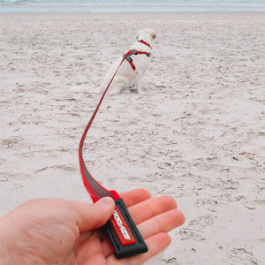 EzyDog Track'n'Train 5m Long Dog Leash - Premium Recall Training Lead with LockGrip Technology