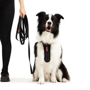 EzyDog Track'n'Train 5m Long Dog Leash - Premium Recall Training Lead with LockGrip Technology