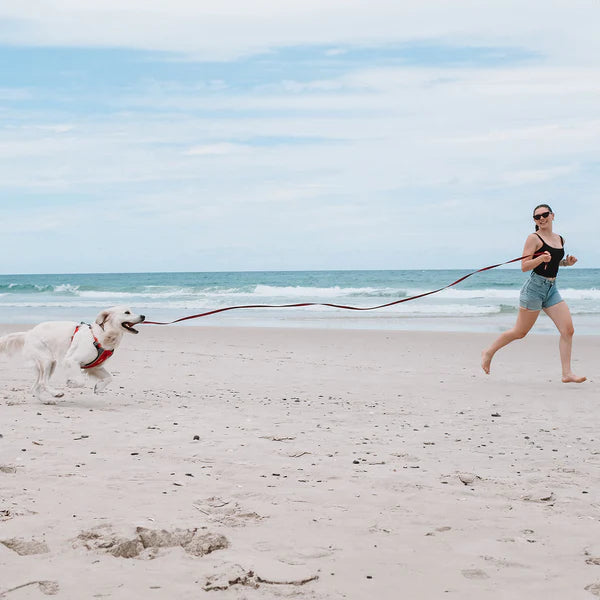 Ezy Dog Leash Track'n'Train 5m Red