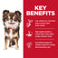 Dog with key benefits of a pet food product on a red background