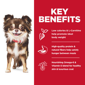 Dog with key benefits of a pet food product on a red background