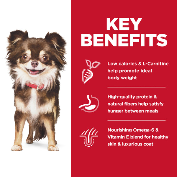 Dog with key benefits of a pet food product on a red background