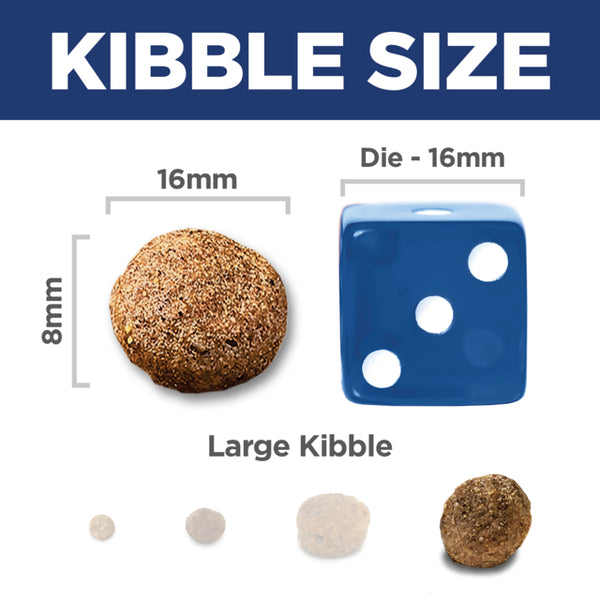 Comparison of large kibble size with a 16mm die on a white background
