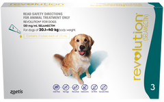 Revolution for Dogs Large 20-40kg - Flea, Tick & Parasite Treatment 3+6 Pack