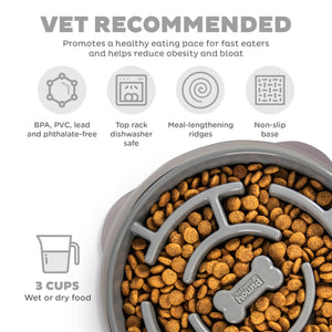 Outward Hound Fun Feeder Maze Slow Bowl