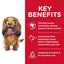 Dog with a red background displaying key benefits of a pet product.