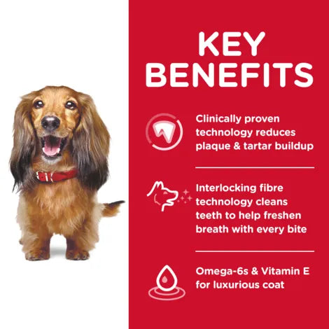 Dog with a red background displaying key benefits of a pet product.