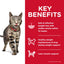 Hill's Science Diet Perfect Weight Adult Cat Food - Weight Management Formula