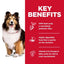 Dog with key benefits text on a red background