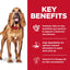 Hill's Science Diet Sensitive Stomach & Skin Large Breed Dog Food 13.6kg - Gentle Digestion