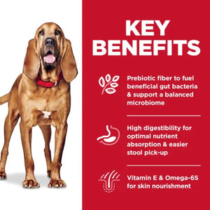 Hill's Science Diet Sensitive Stomach & Skin Large Breed Dog Food 13.6kg - Gentle Digestion