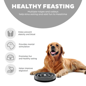 Outward Hound Fun Feeder Maze Slow Bowl