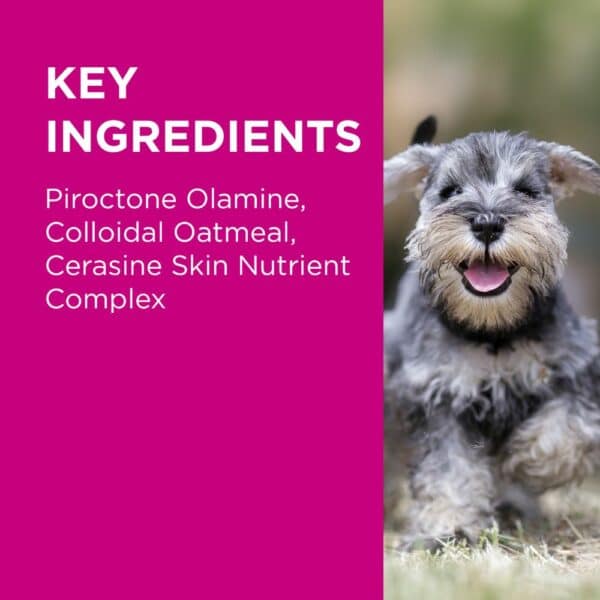Dog with a list of key ingredients on a pink background