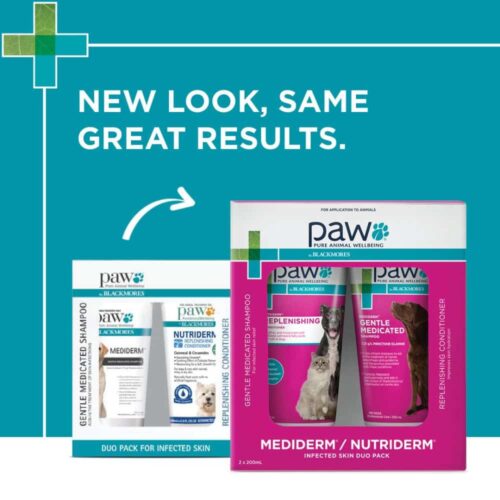Paw pet care products with packaging labeled 'Mediderm' and 'Nutriderm' on a teal background.