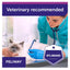 Promotional graphic for FELIWAY cat care with a veterinarian in teal scrubs examining a white and brown cat on a table. The image includes a purple banner reading 'Veterinary recommended' and a badge that says 'N°1 BRAND' and 'FELIWAY'.
