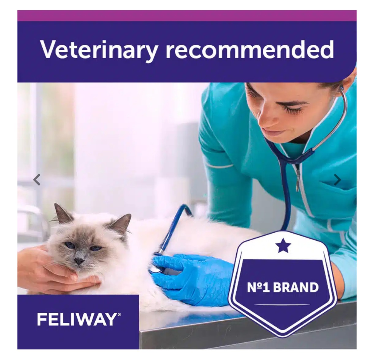 Promotional graphic for FELIWAY cat care with a veterinarian in teal scrubs examining a white and brown cat on a table. The image includes a purple banner reading 'Veterinary recommended' and a badge that says 'N°1 BRAND' and 'FELIWAY'.